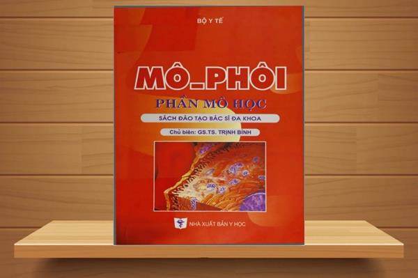 TẢI Sách Mô Phôi PDF Miễn Phí, Đọc Ebook Online (FULL)