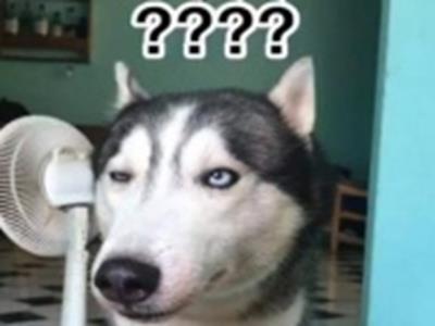 Truyện cười 24h: Mưu hèn kế bẩn để thu hút sự chú ý của phái đẹp