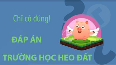 Đáp áp Heo Đi Học MoMo hôm nay - Đáp án trường học Heo đất vừa mới cập nhật sáng nay