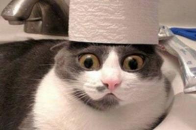 Truyện cười 24h: 5 "gã" đàn ông cùng nhau thuê nhà nghỉ theo giờ