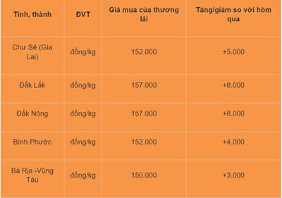 Giá tiêu hôm nay 7/6/2024: Tăng sốc tới 13.000 đồng/kg, Đà tăng mạnh chưa có dấu hiệu giảm