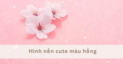 Hình nền cute màu hồng