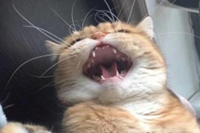 Truyện cười 24h: Anh chàng bán giày "đột ngột bán áo lót" vì lý do không ngờ