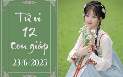Tử vi 12 con giáp ngày 23/6: Tý chậm trễ, Dậu khó khăn