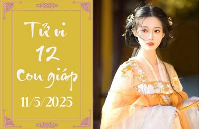 Tử vi 12 con giáp ngày 11/5: Thìn khó khăn, Ngọ tiêu cực