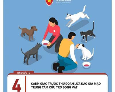 Lên mạng đăng tin tìm vật nuôi, bất ngờ thành 'con mồi' của những kẻ lừa đảo