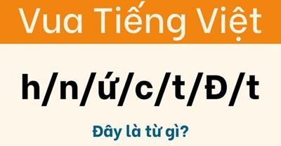 Đừng nhận là Vua tiếng Việt nếu giải sai câu đố này