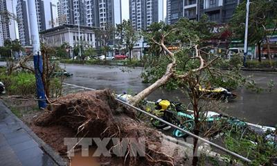 Trung Quốc áp dụng nhiều biện pháp ứng phó bão RASAGA