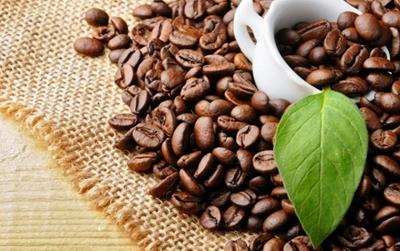 Giá cà phê hôm nay ngày 9/8/2025: Tiếp tục tăng mạnh