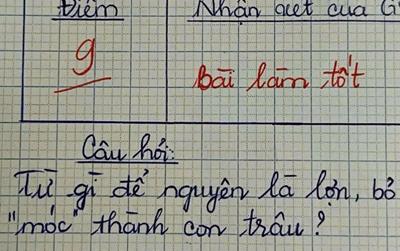 Từ Tiếng Việt nào để nguyên là lợn, bỏ 'móc' thành con trâu?