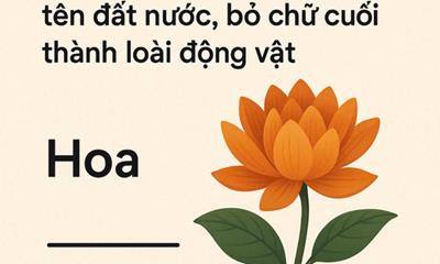 Hoa gì bỏ chữ đầu thành tên đất nước, bỏ chữ cuối thành tên loài động vật?