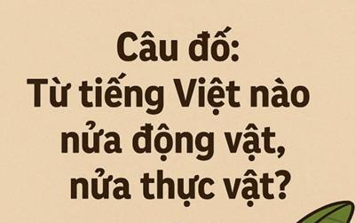 Từ Tiếng Việt nào tên nửa động vật, nửa thực vật?