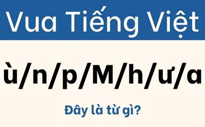 Đến 'vua của chữ' cũng chẳng tìm nổi lời giải