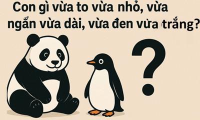 Con gì vừa to vừa nhỏ, vừa ngắn vừa dài, vừa đen vừa trắng?