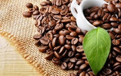 Giá cà phê hôm nay 26/6/2025: "Lao dốc" không phanh