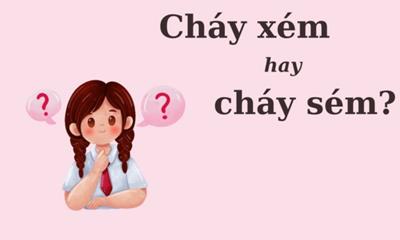 90% người dùng sai chính tả: Cháy xém hay cháy sém ?