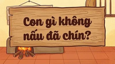 Đố bạn, con gì không nấu đã chín?