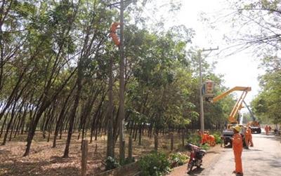 Lịch cắt điện Đồng Nai ngày 4/5 cập nhật mới nhất