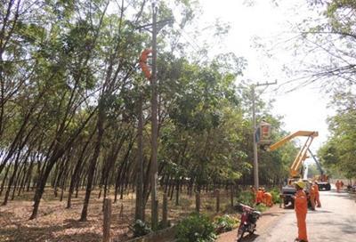 Lịch cắt điện Đồng Nai ngày 23/1/2026 cập nhật mới nhất