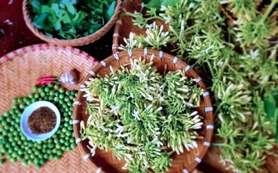 Hoa đu đủ đực: Từ món ít ai biết đến đặc sản “hot” giá 100.000 đồng/kg