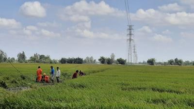 Lịch cắt điện Cần Thơ ngày 14/12/2025 cập nhật mới nhất