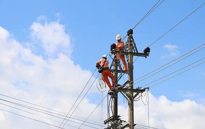 Lịch tạm ngừng cấp điện Quảng Ngãi ngày 10/2/2026