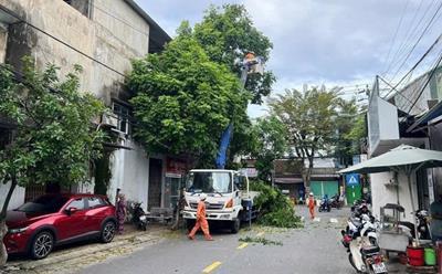 Lịch tạm ngừng cấp điện Quảng Ngãi ngày 17/3/2026