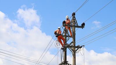 Lịch tạm ngừng cấp điện Quảng Ngãi ngày 29/12/2025
