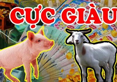 "Gặp Thời" tốt cũng thành đại gia: 3 tuổi chuột rơi hũ nếp Tiền - Lộc - Danh tề tựu viên mãn