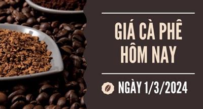 Giá cà phê hôm nay ngày 1/3/2024: Thị trường trong nước chững lại