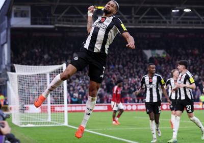 Nhận định bóng đá Newcastle vs Nottingham: Tìm lại cảm giác chiến thắng