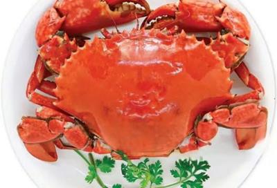 Dĩa cua nhìn chất lượng, ngon quá đã...