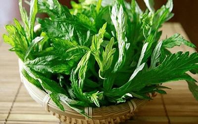 Bài thuốc giúp tăng tuần hoàn máu não từ ngải cứu