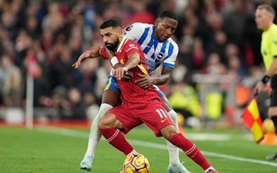 Lịch thể thao ngày hôm nay 19/5 và rạng sáng 20/5