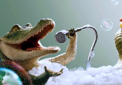 Nằm Mơ thấy cá sấu đánh số mấy? Giải mã điềm báo mơ thấy cá sấu