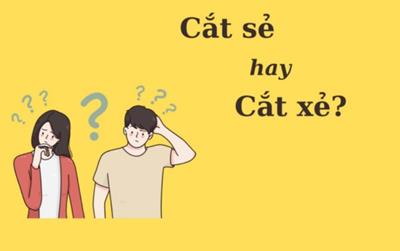 Thử thách Tiếng Việt: 'Cắt sẻ' hay 'cắt xẻ'?