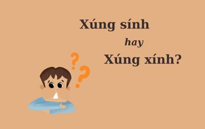 90% người nhầm lẫn: "Xúng sính" hay "xúng xính"?