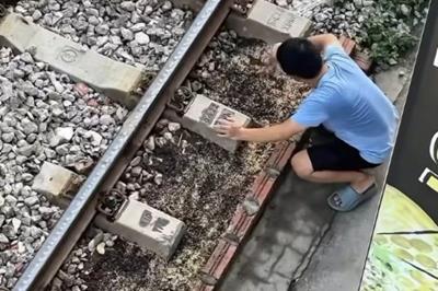 Công nhân đường sắt bị trách vì… dọn luống rau trồng cạnh đường tàu chạy