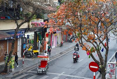 Dự báo thời tiết ngày 11/2: Nền nhiệt tăng, thời tiết ấm dần ở Bắc Bộ, Bắc Trung Bộ