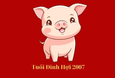 2007 hợp màu gì? Màu sắc phong thủy may mắn cho Tuổi Đinh Hợi 2007