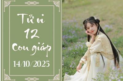 Tử vi 12 con giáp ngày 14/10: Ngọ khấm khá, Tý nên cẩn trọng