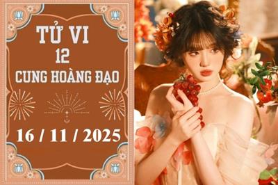 Tử vi 12 cung hoàng đạo hôm nay ngày 16/11/2025: Song Ngư cẩn trọng, Nhân Mã thăng tiến