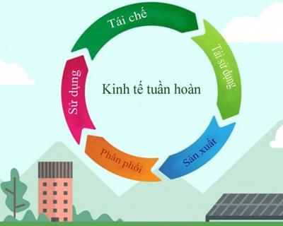 Kinh tế tuần hoàn, kinh tế xanh khác gì nhau?