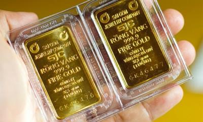 Giá vàng hôm nay 31/8: Thế giới tăng, trong nước phá kỷ lục