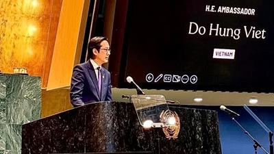 Việt Nam cam kết hành động vì bình đẳng giới và xóa bỏ bạo lực đối với phụ nữ