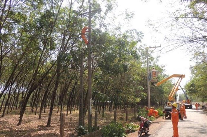 Lịch cắt điện Đồng Nai ngày mai 2/6/2026 cập nhật mới nhất