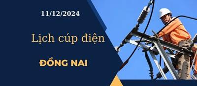 Cập nhật Lịch cúp điện hôm nay ngày 11/12/2024 tại Đồng Nai