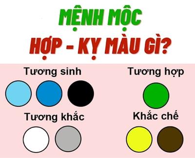 Tìm hiểu mệnh mộc hợp màu gì?