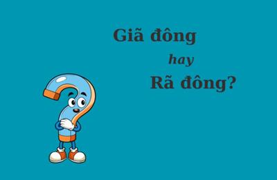 Thử thách Tiếng Việt: 'Giã đông' hay 'rã đông'?