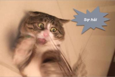 Truyện cười 24h: Có 2 anh thích mà chưa biết chọn anh nào?